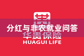 分红与非农就业问答