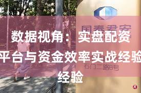 数据视角：实盘配资平台与资金效率实战经验