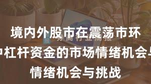 境内外股市在震荡市环境中中杠杆资金的市场情绪机会与挑战